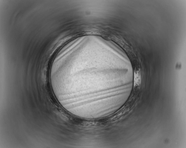 X0000100200291200806131236