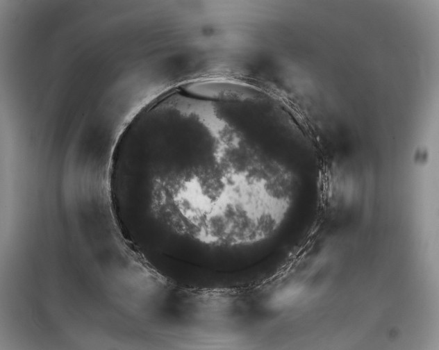 X0000100200292200806131236