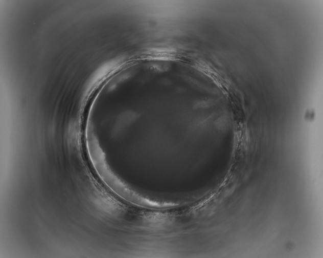 X0000100200293200806131236