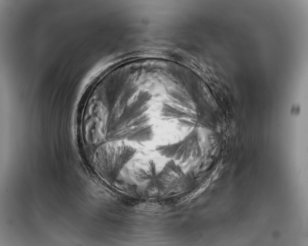 X0000100200294200806131236