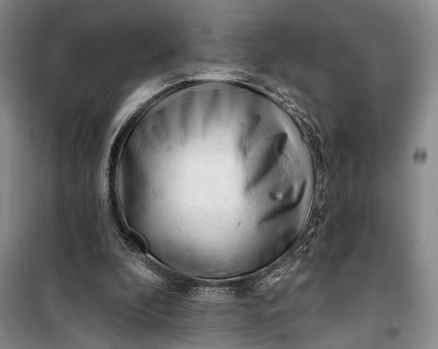 X0000100200296200806131236