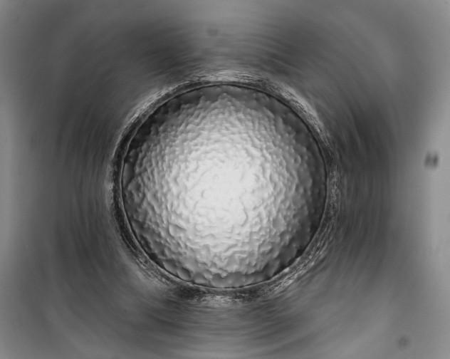 X0000100200298200806131236