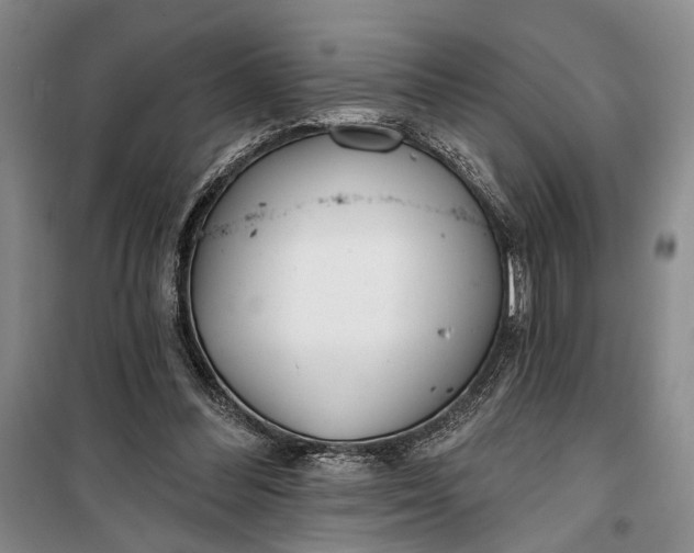 X0000100200300200806131236