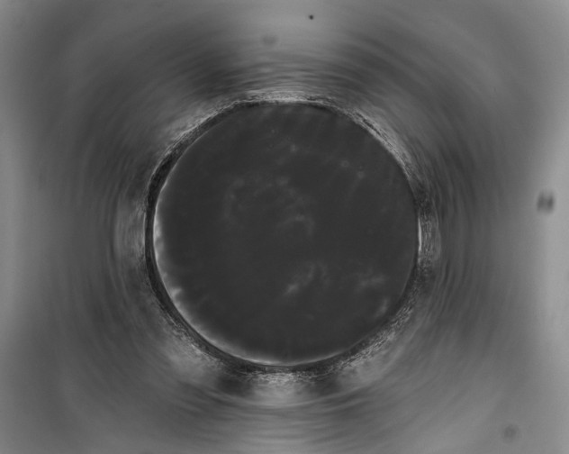 X0000100200301200806131236