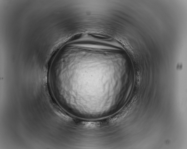 X0000100200303200806131236