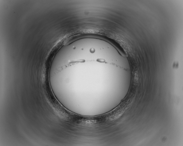 X0000100200304200806131236