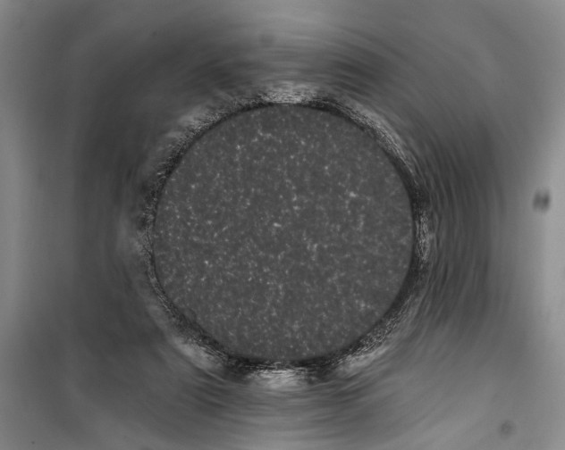 X0000100200307200806131236