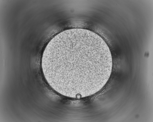 X0000100200309200806131236