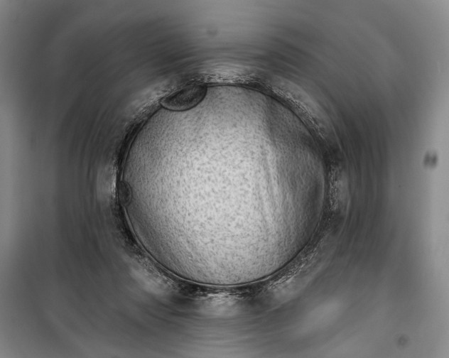 X0000100200310200806131236