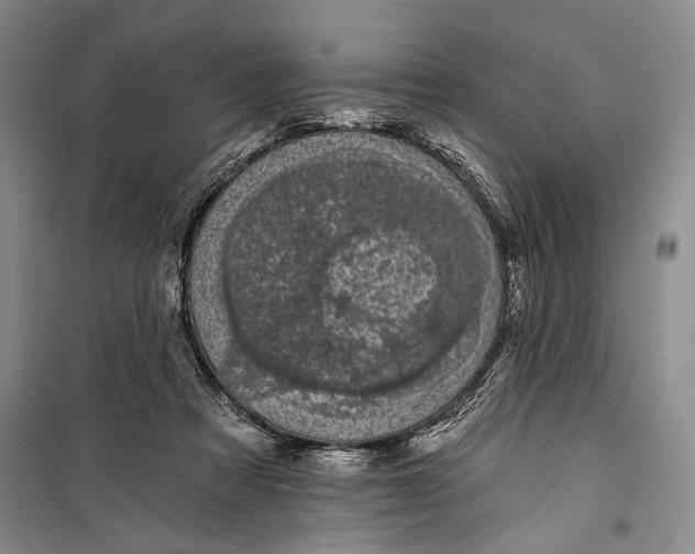 X0000100200313200806131236