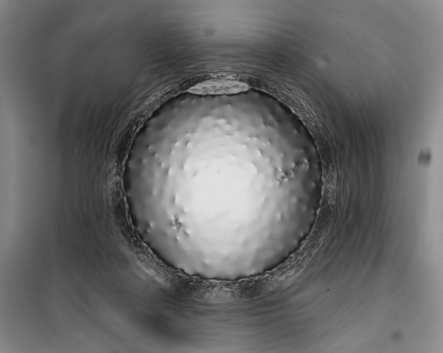 X0000100200314200806131236