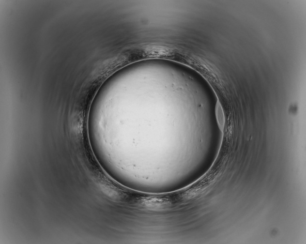 X0000100200315200806131236