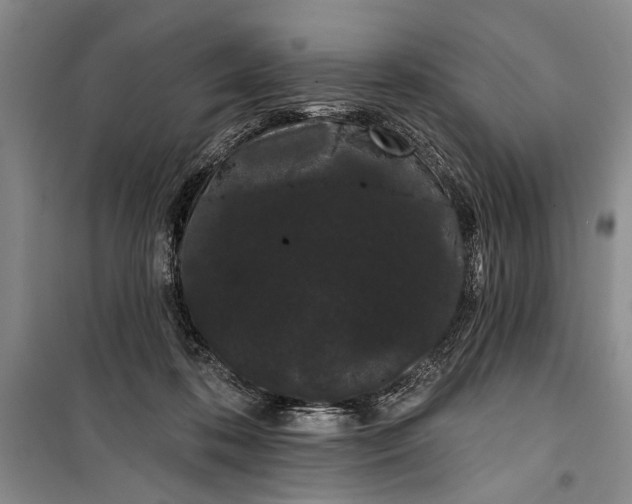 X0000100200316200806131236