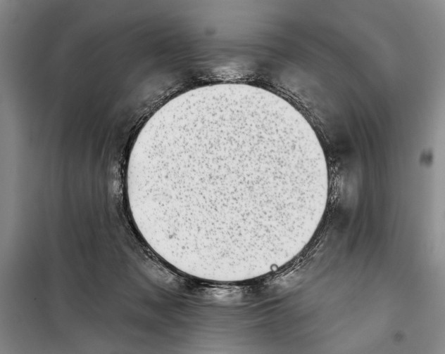 X0000100200317200806131236