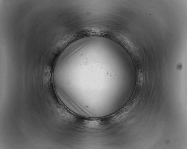 X0000100200318200806131236