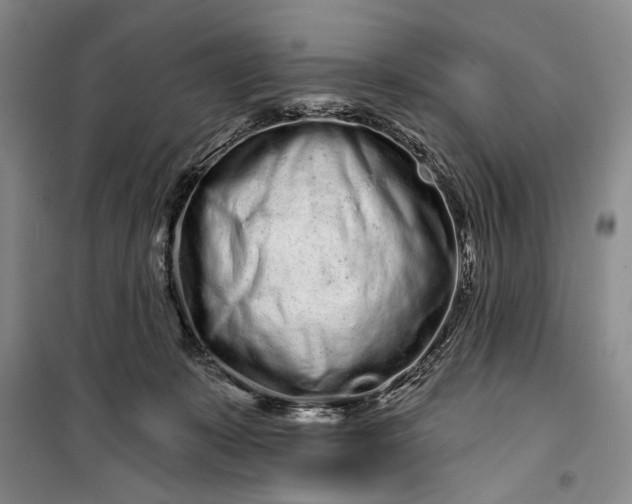 X0000100200319200806131236