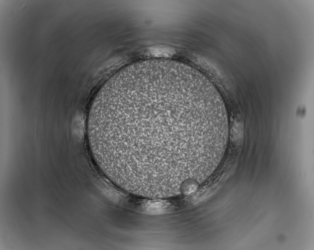 X0000100200321200806131236