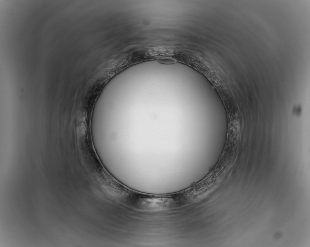 X0000100200323200806131236