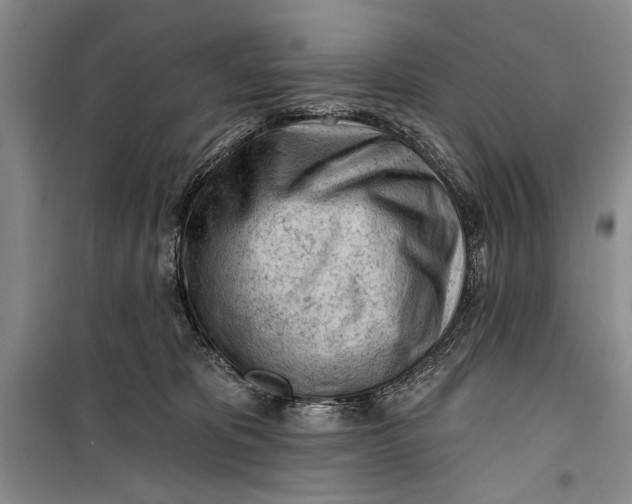 X0000100200325200806131236