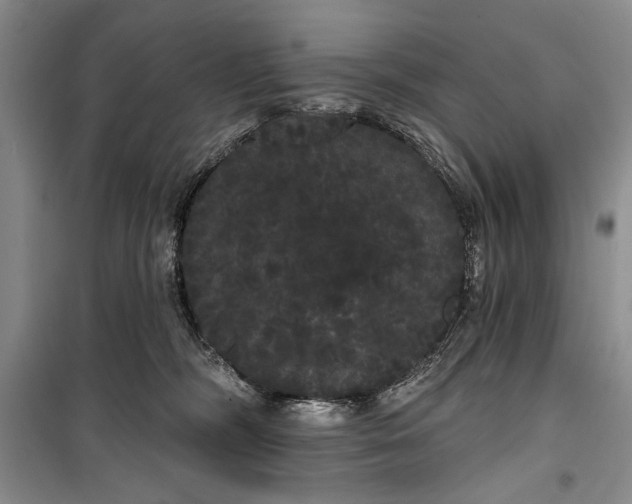 X0000100200326200806131235