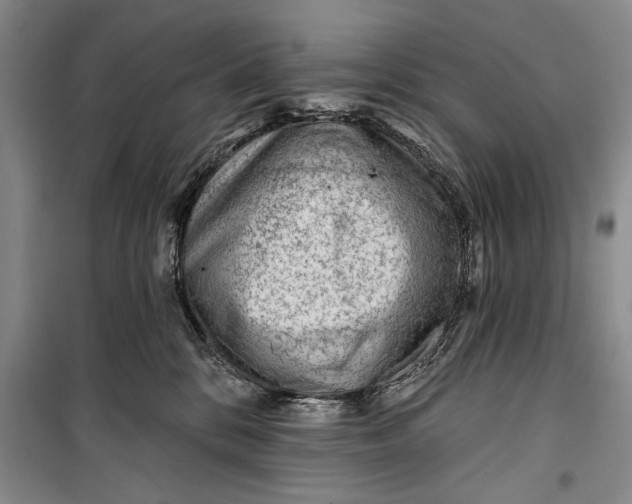 X0000100200328200806131235