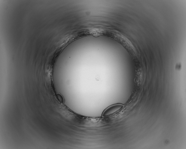 X0000100200329200806131235