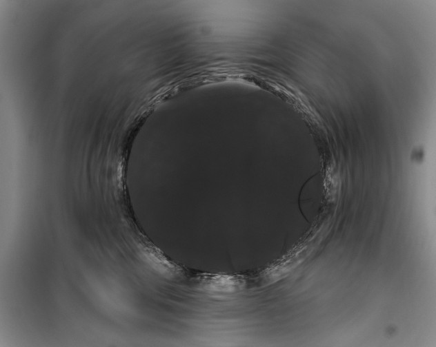 X0000100200330200806131235