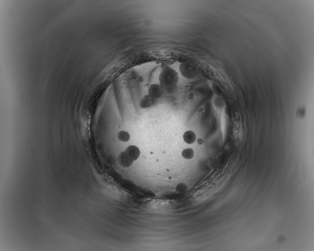 X0000100200332200806131235