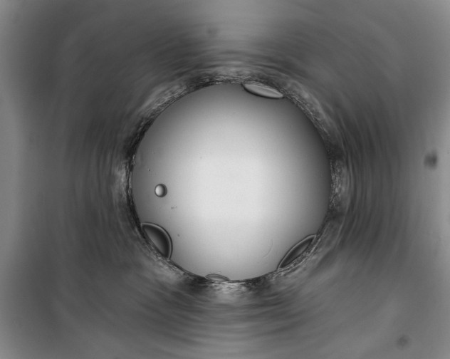 X0000100200333200806131235