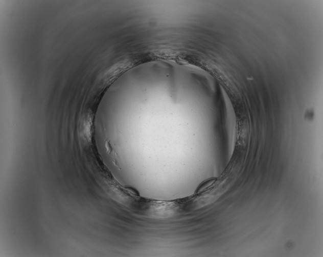 X0000100200334200806131235