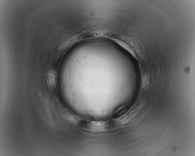 X0000100200335200806131235