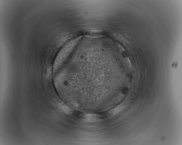 X0000100200336200806131235