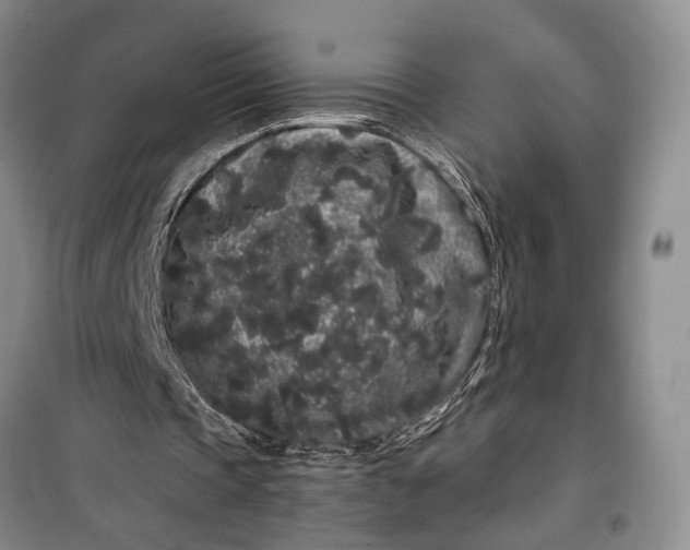 X0000100200337200806131235