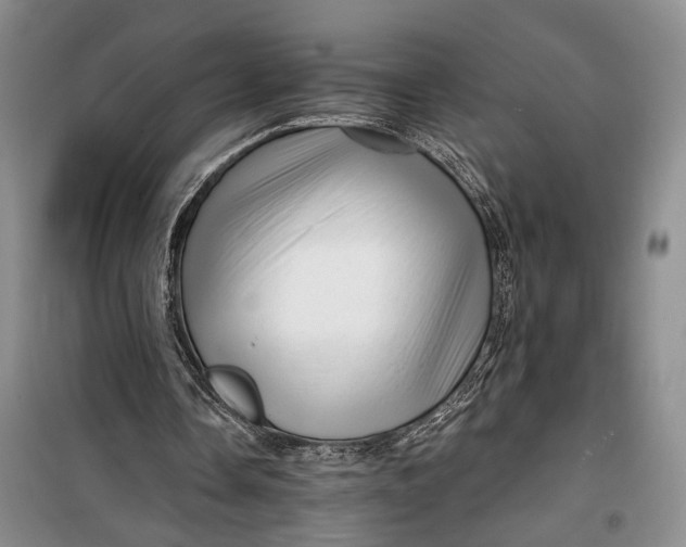 X0000100200338200806131235