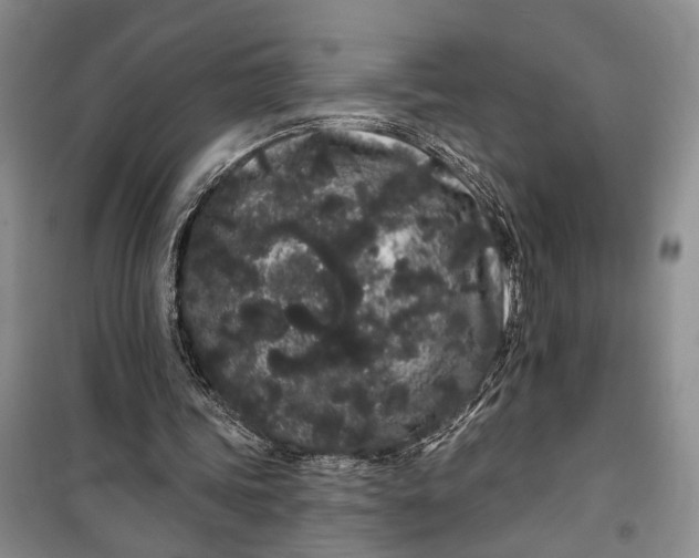 X0000100200339200806131235