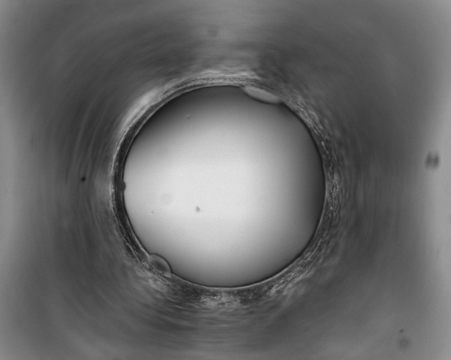 X0000100200340200806131235