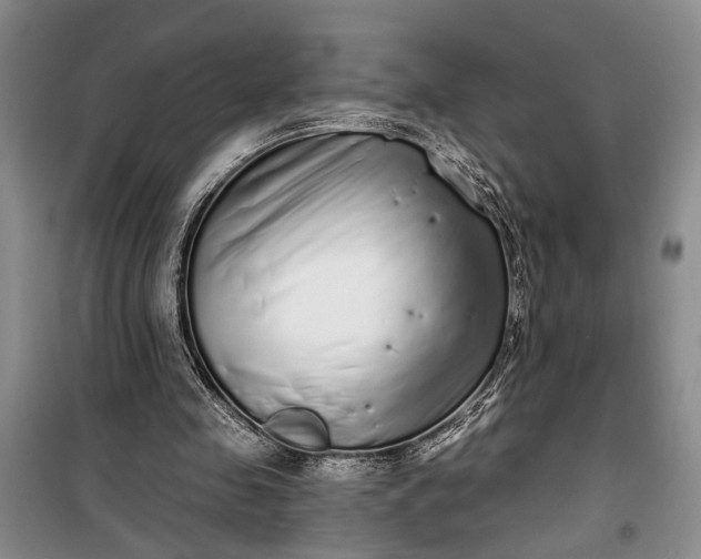 X0000100200341200806131235