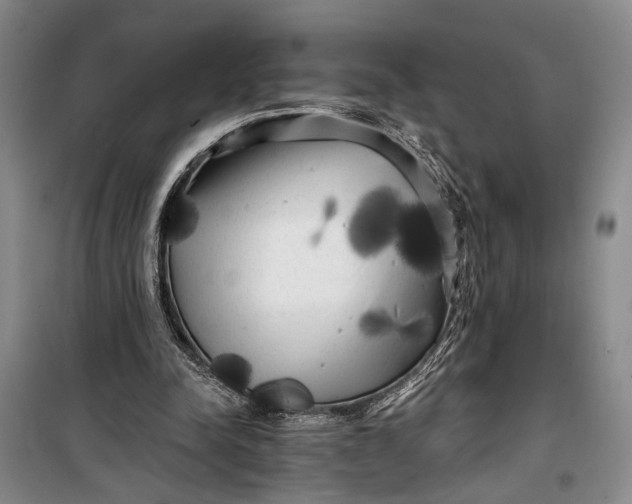 X0000100200342200806131235