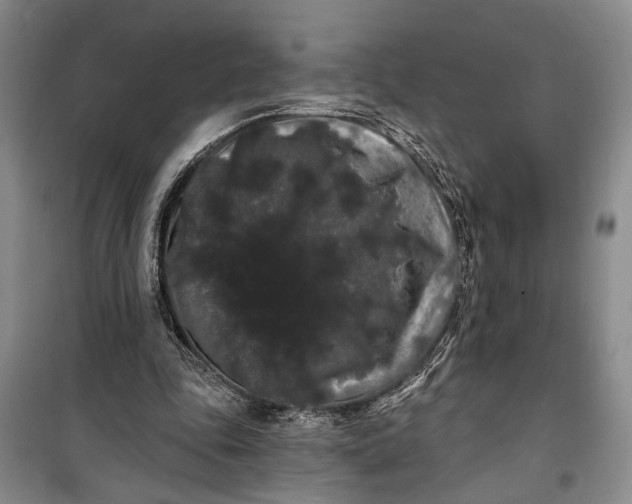 X0000100200343200806131235