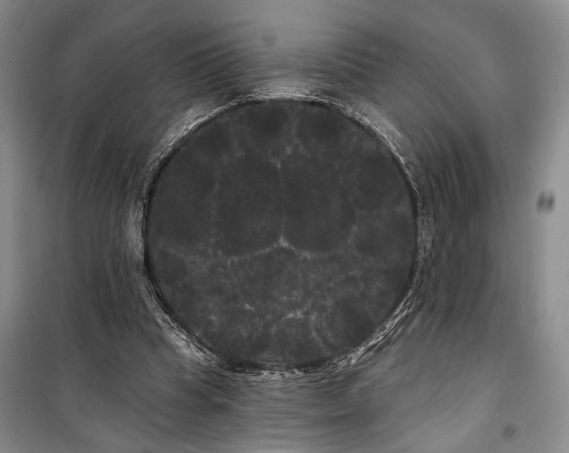 X0000100200345200806131235