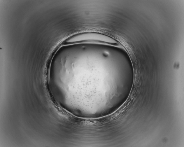 X0000100200346200806131235