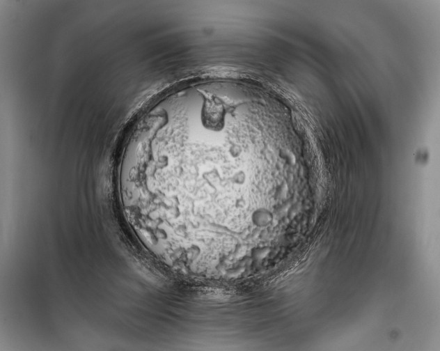 X0000100200347200806131235