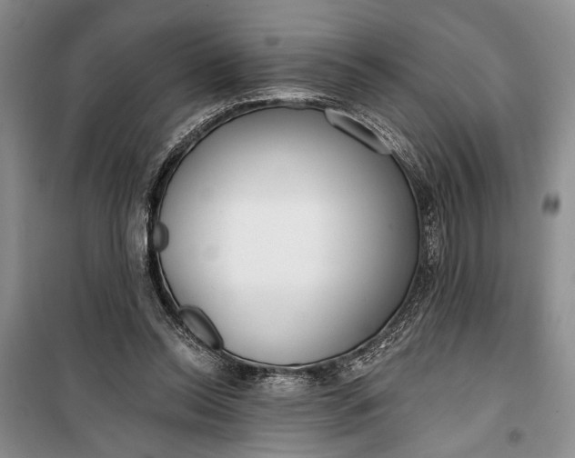 X0000100200350200806131235