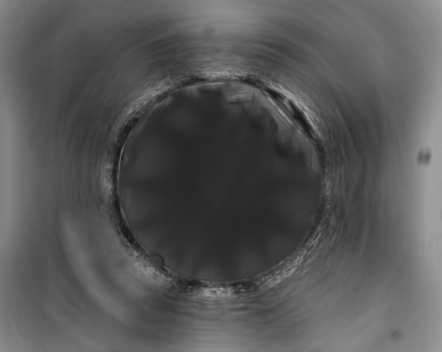 X0000100200353200806131235