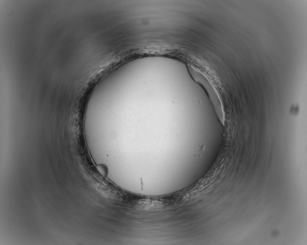 X0000100200354200806131235