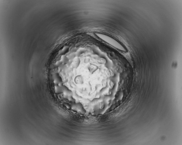 X0000100200357200806131235