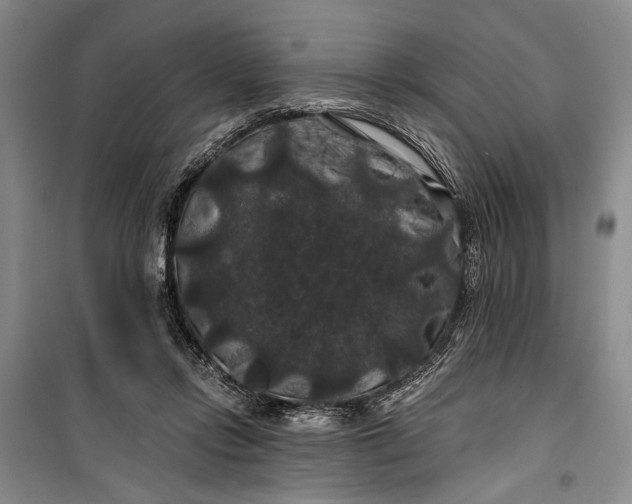 X0000100200358200806131235