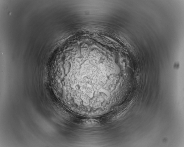 X0000100200359200806131235