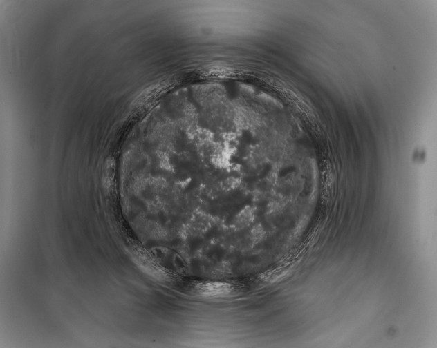 X0000100200361200806131235