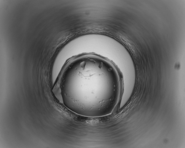 X0000100200362200806131235